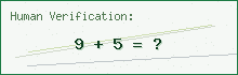Security CAPTCHA Challenge